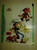 Lucky Luke DUBBLE BUBBLE  #5